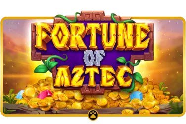 100cuci net